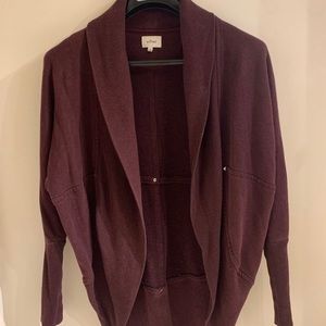 Aritzia Wilfred Cardigan